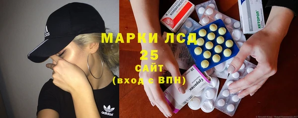 PSILOCYBIN Волосово