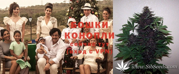 бошки Володарск