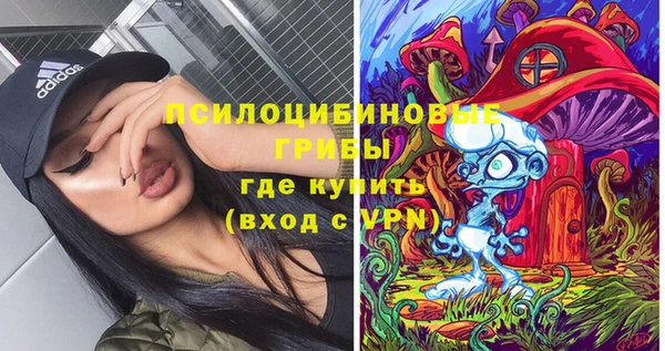 PSILOCYBIN Волосово