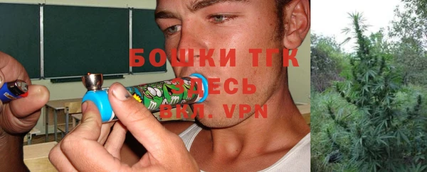 PSILOCYBIN Волосово